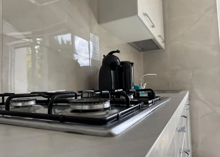 Luxury Sole 公寓 *